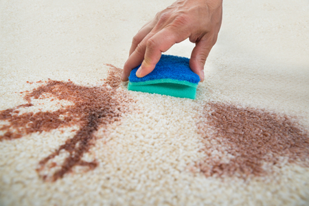 <span class="atmosphere-large-text">03</span><span class="intro">How To Remove Stains & Odors From Your Rug</span>