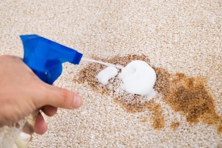 close-up of person's hand spraying cleaning agent on carpet